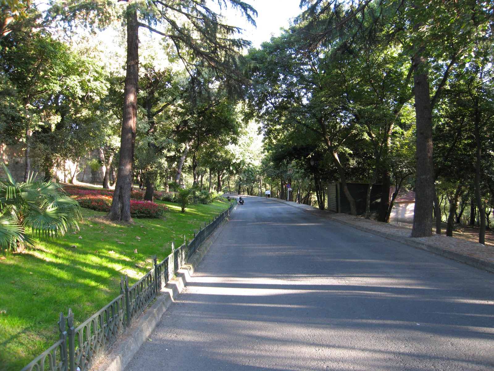 Al Gadeer park